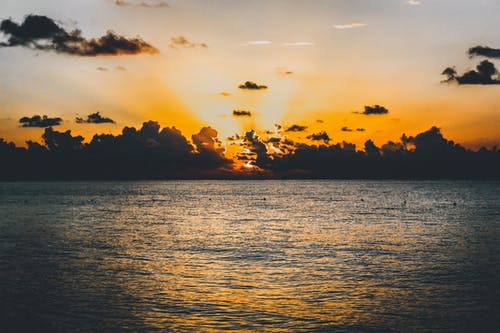 关于描写春的诗句 关于描写春的诗句