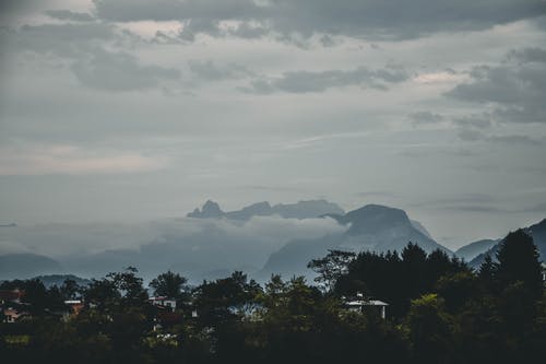 【热门】比赛日记范文集锦九篇