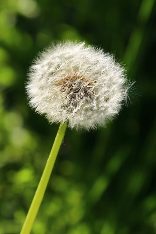 玄幻鸿蒙神王小说莫良莫小依在线阅读