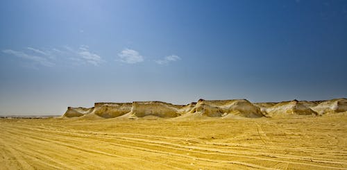 写作基础：围绕中心 严格选材