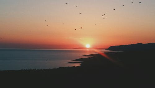 关于古诗的作文 关于古诗的作文