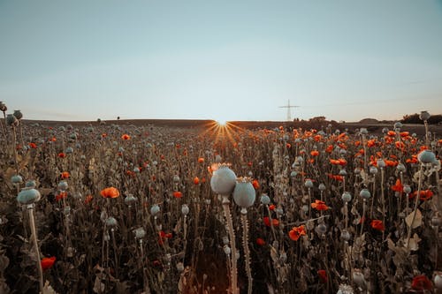 教师节感人的祝福语