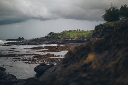 写作基础：借景抒情 托物言志