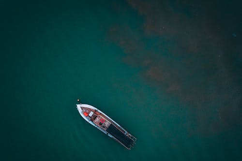 爽文都市极品狂仙小说叶浩辰刘雅章节阅读