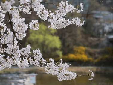 2019年朋友圈深入人心的经典说说（63条）