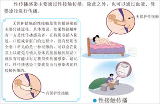 小学生性知识基础教育