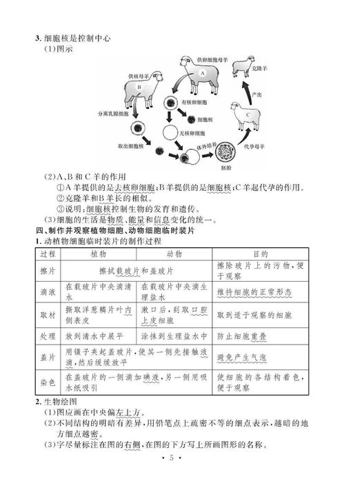 生物必备基础知识点初中,初中生物基础知识点总结,初中生物知识点总结