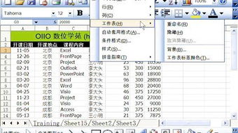 excel2007基础知识大全