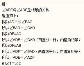 沪科版初中数学三角形基础知识复习