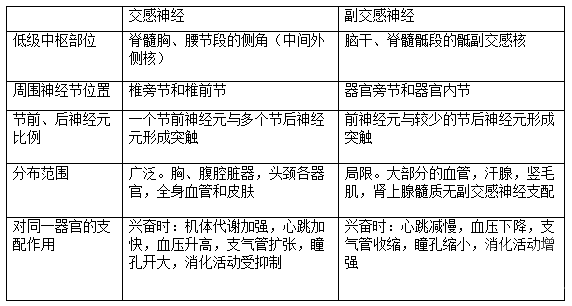 基础知识,简单,医学