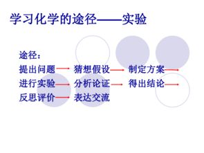 基础实验基础知识ppt