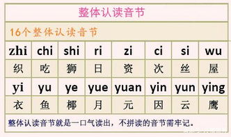 汉语拼音部分基础知识测试,小学汉语拼音基础知识,汉语拼音初学入门基础知识