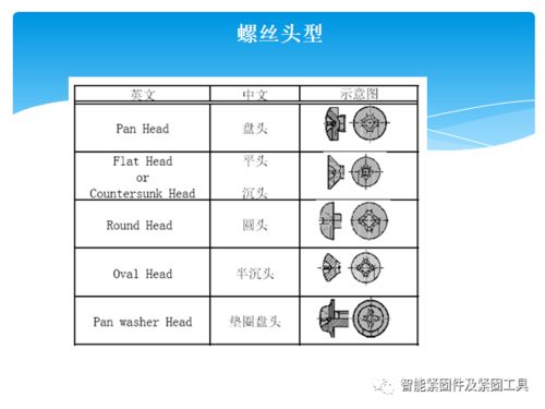 怎样去讲解表皮基础知识