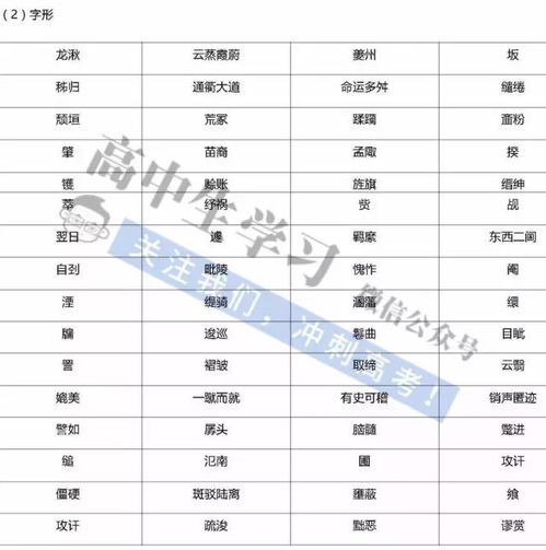 分数的基础知识汇总