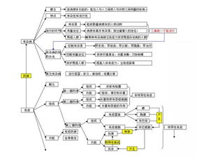 初中函数基础知识思维导图,物流基础知识思维导图,计算机基础知识思维导图