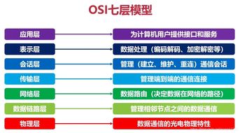 计算机基础知识与计算机网络基础知识,计算机基础知识及计算机系统组成,计算机二级计算机基础知识