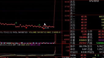 股票入门基础知识都有哪些