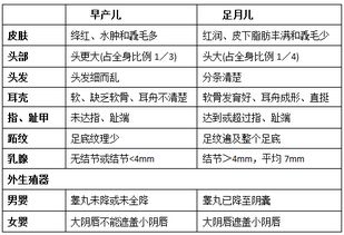 临床医学工程基础知识