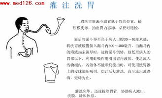 基础护理学重点知识归纳,基础护理学知识点归纳,基础护理学知识试题及答案