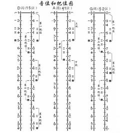 二胡入门基础知识,二胡乐谱基础知识,二胡乐理基础知识