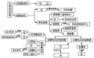 18体基础知识