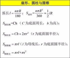 第一张数学学科基础知识