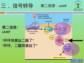 知识点,基础医学,相关