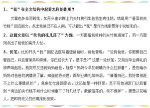 初一语文上册基础知识大全书多少钱一本,初一语文基础知识大全汇总,初一语文上册基础知识训练