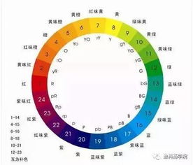 涂料售后基础知识