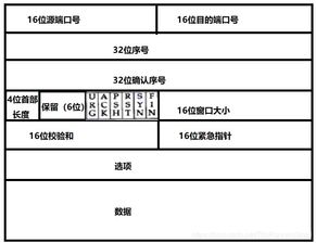 计算机网络基础知识简答题