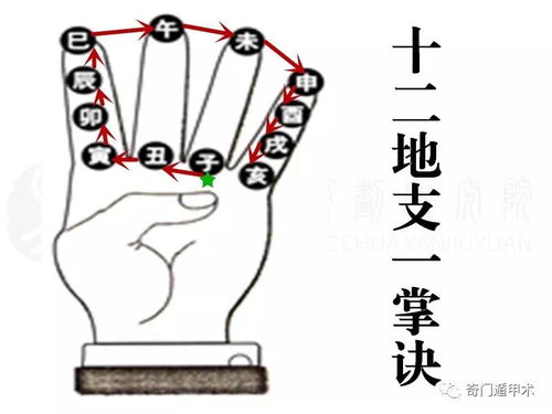 阴盘奇门遁甲基础知识,数理奇门的基础知识,飞盘奇门基础知识