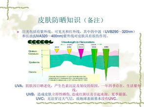 皮肤学知识基础知识