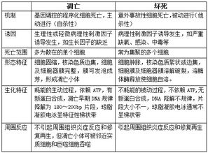 2018临床医学基础知识试题