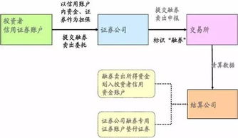 证券公司业务基础知识