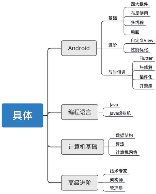 基础知识,面试题