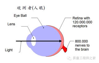 阳极氧化染色的基础知识