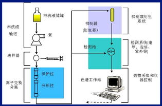 离子色谱基础知识试题