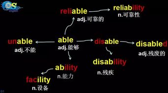 抓学生的基础知识