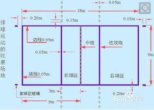 大学排球基础知识