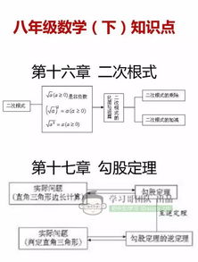 基础知识,初中数学,整理,最新