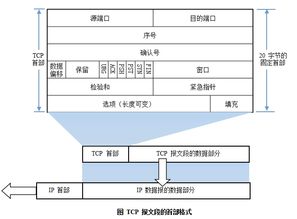 计算机网络第三版基础知识总结