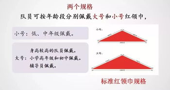 少先队建队的基础知识