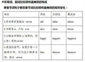 中职英语基础知识汇总