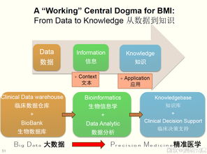 医疗公共卫生基础知识,医疗基础知识考试题库,医疗专业基础知识