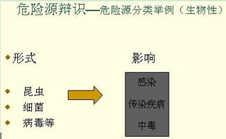 安全管理安全基础知识讲义