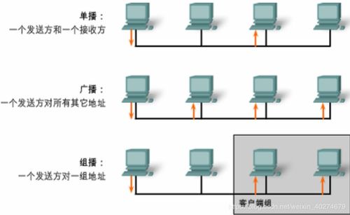 交换机的基础知识,交换机基础知识总结,路由器交换机基础知识