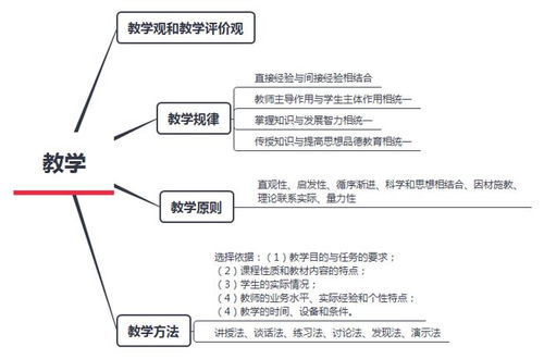 归纳,基础知识,分析题,案例