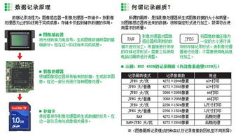 单反基础知识文档