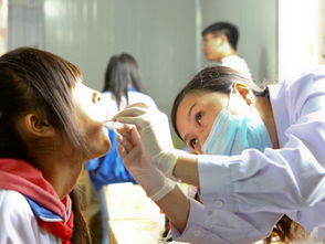 口腔医学的基础知识,口腔医学基础知识题库,口腔医学基础知识速记