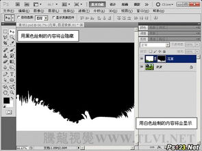 ps蒙版基础知识